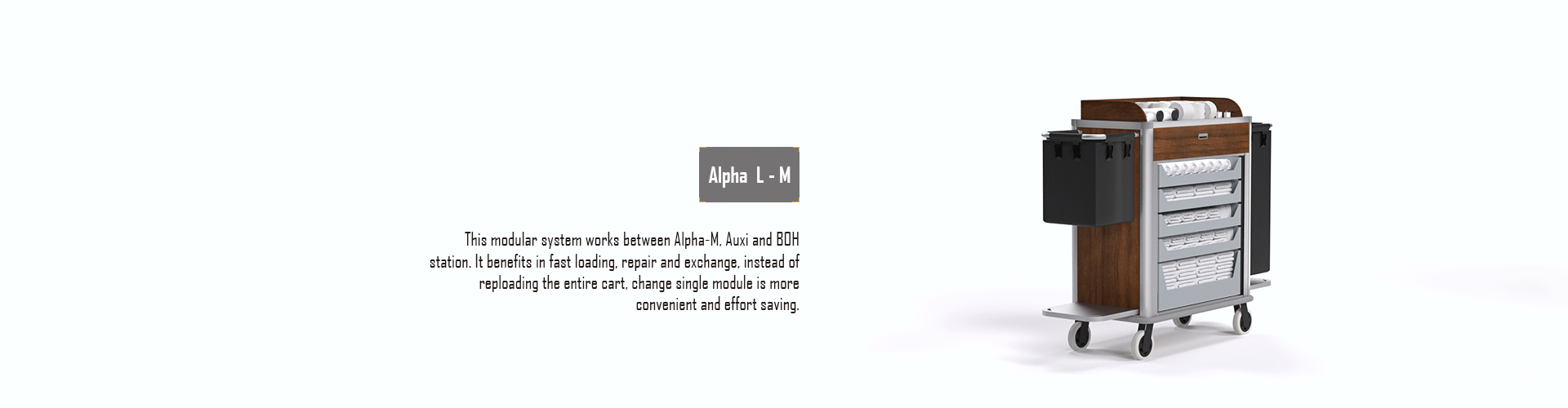 AlphaL-M2.gif