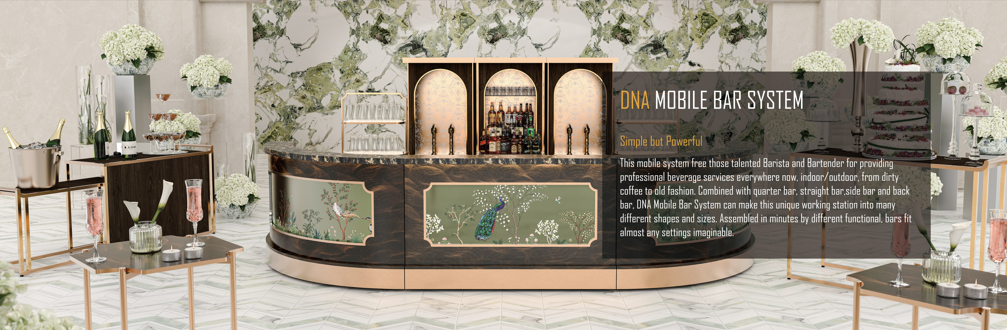 1、TC网站-独立介绍页-DNA_画板 1 副本 4.jpg